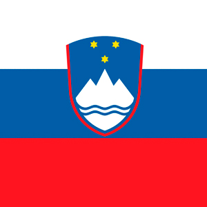 Доставка грузов из Словении в Россию